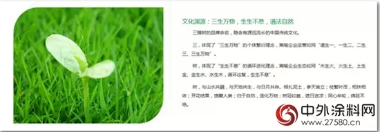 三棵樹官網全新改版上線