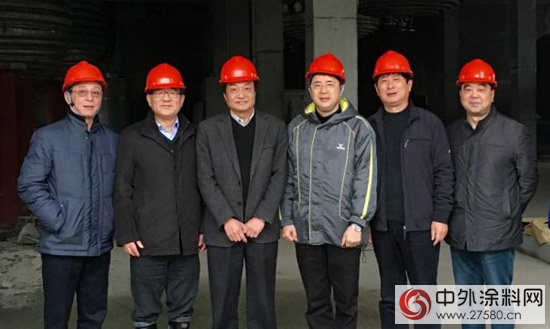 省政協科教委副主任沈堅一行視察大橋油漆新廠工地"112306"