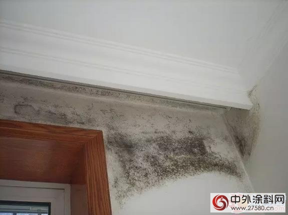 牆麵發黴試試伊思曼水漆 防黴10年品質保證！