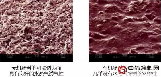 紫荊花工程塗料強勢推出耐火牆麵解決(jue) 方案