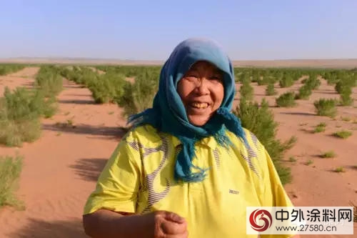 10元錢=1棵梭梭樹=拯救10㎡荒漠，這樣的公益你參與(yu) 嗎？