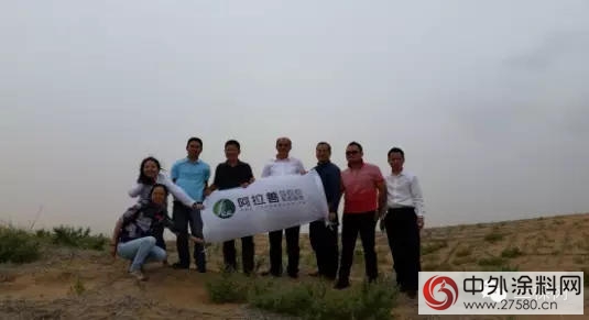 在沙漠種下一片三棵樹