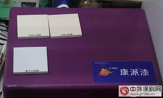康派漆工匠精神受全球買家認可 詮釋“全方位服務商”"
118291"
