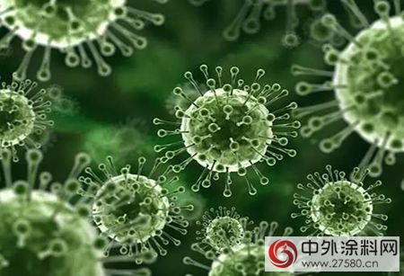 科學家警告使用抗菌塗料將導致“超級細菌”產(chan) 生"120829"