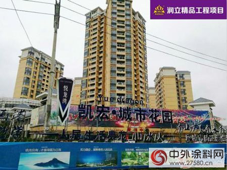 專訪潤立塗料唐瑤：加快轉型升級 助力綠色發展