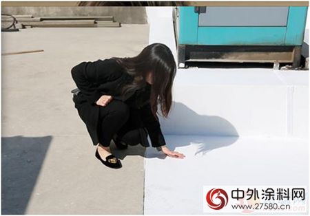 芬琳漆：國內(nei) 首個(ge) 節能降溫“冷屋頂”塗料工程案例"121359"