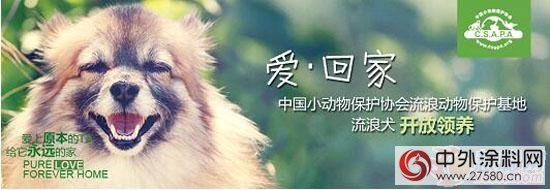 德國品赫漆：珍惜人類的伴侶(lv)  關(guan) 愛小動物在行動