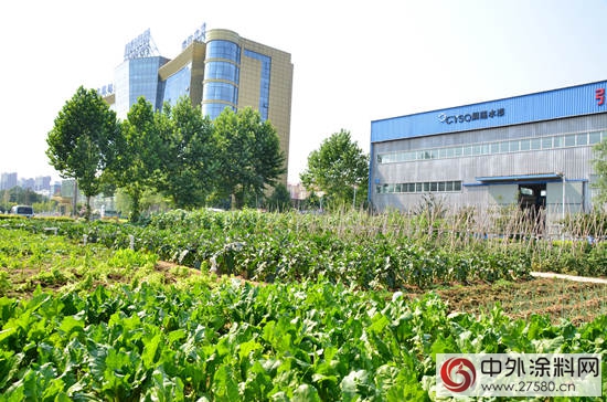 晨陽水漆：打造民族水漆的花園式企業(ye) "122970"