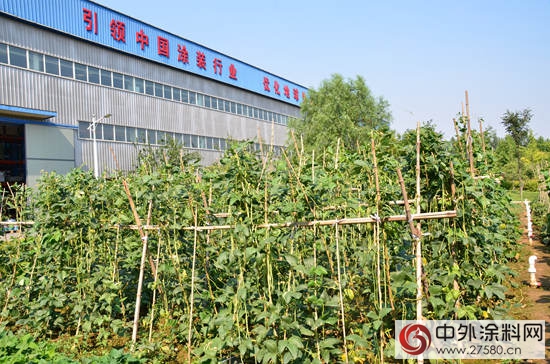 晨陽水漆：打造民族水漆的花園式企業(ye) "122970"