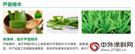 蘆薈2代，開創環保新淨界