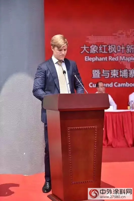 蟄伏三年後：大象漆走出陰影 迎來新生