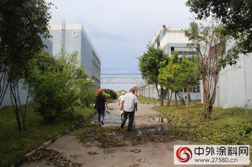 察災情，送關(guan) 懷 ----廣東(dong) 塗協走訪受台風影響嚴(yan) 重的會(hui) 員企業(ye) 