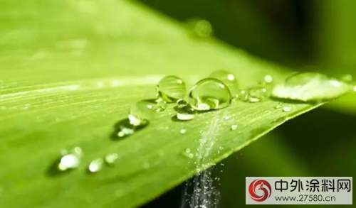 環保節能 和諧生活締造家：淨味水性瓷磚粘結劑