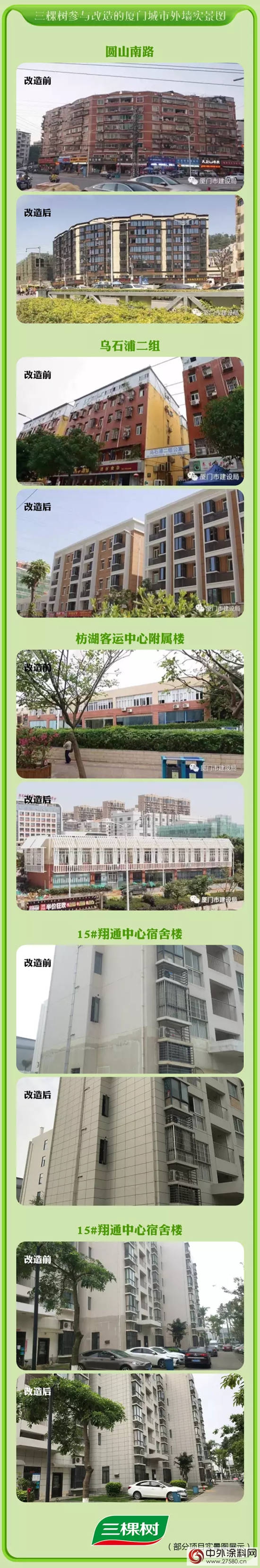 金磚來了！三棵樹釋放煥新力量，扮靚美麗(li) 廈門