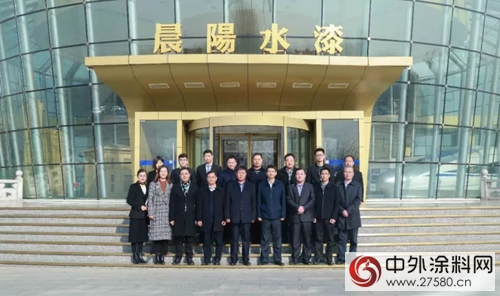 南充市高坪區政府領導一行到訪晨陽水漆"125339"