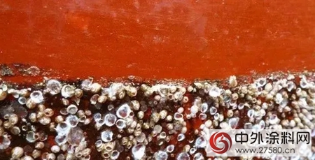 新型環保塗料問世：有效對抗船隻/水體(ti) 工程生物淤積