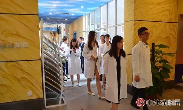 碧桂園集團考察團前往中華製漆考察交流