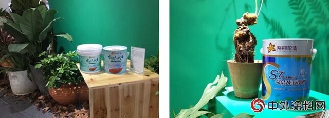 紫荊花漆攜環保塗料和健康家居理念亮相杭州國際超級健康展