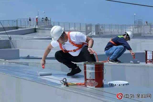 中國水漆20年 打造一個(ge) 綠色全產(chan) 業(ye) 鏈"127534"