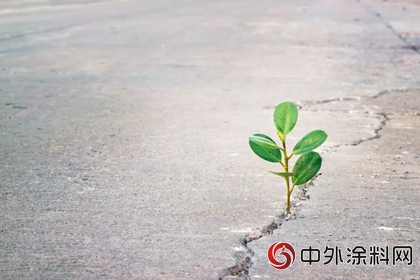 東(dong) 方雨虹李衛國：致力於(yu) 打造一個(ge) 讓奮鬥者逆襲的平台"128047"