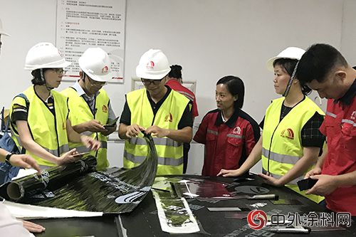 新世界中國地產(chan) 一行考察惠州東(dong) 方雨虹