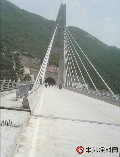 陝西鹹陽：鱷魚漆中標涇河東(dong) 莊索橋！