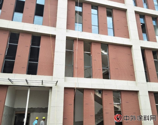河南信陽：鱷魚漆中標息縣高中！