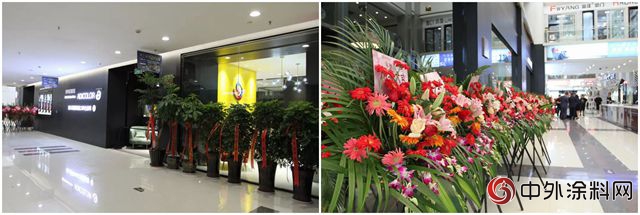 威羅旗下Adicolor單色塗料常熟旗艦店開業(ye) 慶典"129285"