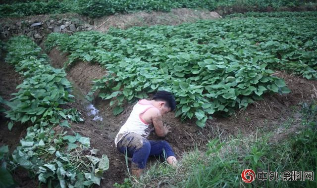 美惠石感漆主打大型公益微電影《承諾》上線在即！