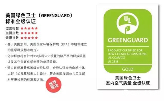 “看見光明、看見色彩”在傳(chuan) 遞愛心的路上紫荊花一直在行動