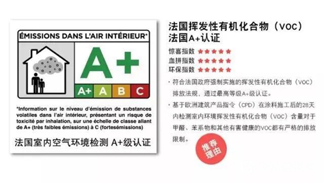 “看見光明、看見色彩”在傳(chuan) 遞愛心的路上紫荊花一直在行動