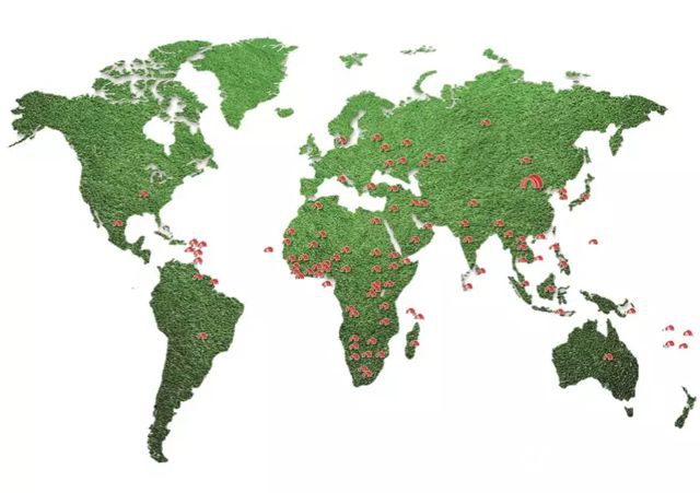 邁向世界的東(dong) 方雨虹：Building Nationally, Growing Globally