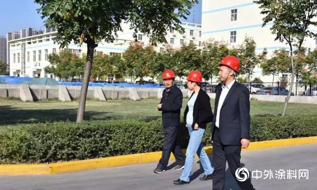 中國建築防水協會(hui) 副會(hui) 長苗燕一行雨中情考察