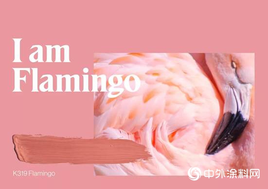Dare to be YOU，敢為真我！迪古裏拉2019流行色弗拉明戈粉發布