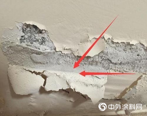 沒辦法，嘉寶莉“抗鹽硝1號”就這麽(me) 強大！"130885"
