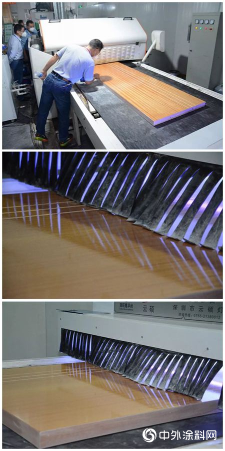一文讀懂，君子蘭【LED-UV塗裝】的價值！