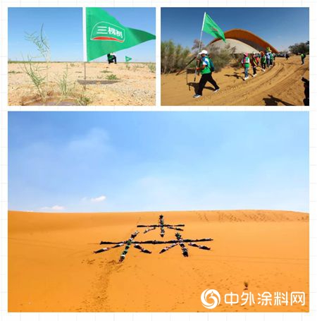 三棵樹文化故事丨用愛心守護青山綠水