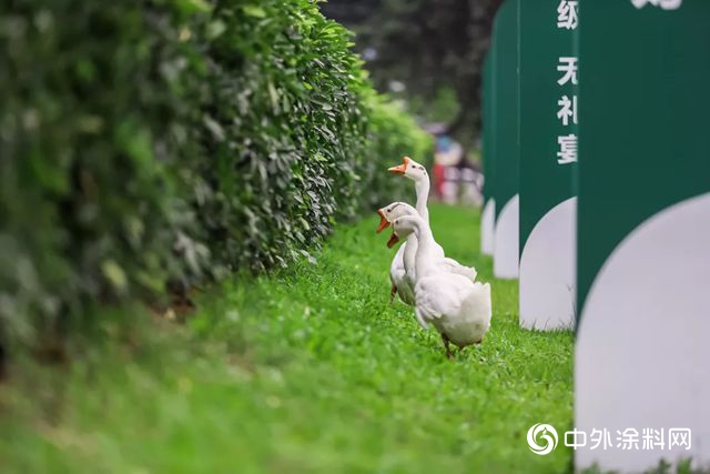 三棵樹文化故事丨廠房裏麵驚現“鳥巢”"131088"