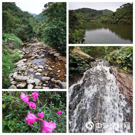 美塗士工程攜手廣東(dong) 房地產(chan) 招采協會(hui) 徒步聯誼，一路有你，溫暖相伴！"131173"