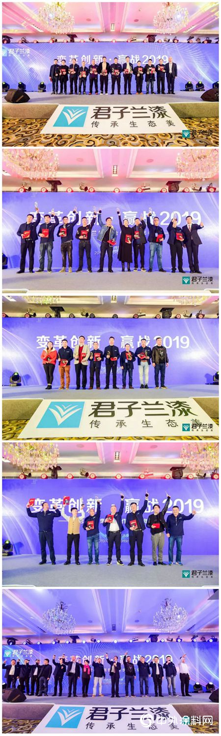 【君子蘭(lan) 】變革創新，贏戰2019！"131661"