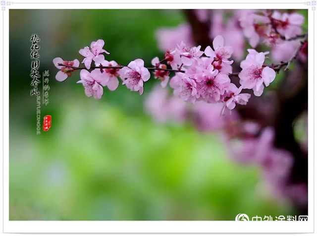 聚合取勢，突破圖強，全國萬(wan) 宜經銷商將會(hui) 師邵陽