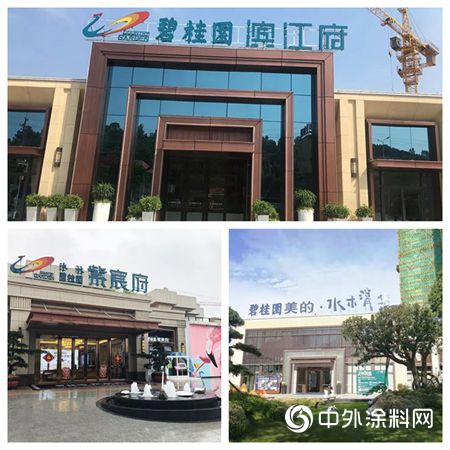 美塗士榮獲碧桂園地產(chan) 戰略合作優(you) 秀供應商獎