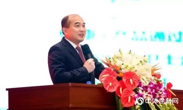 三棵樹洪傑：“放管服”改革讓企業(ye) 真正受益