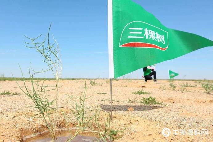 萬眾益心，千裏植行——三棵樹綠色大使再訪阿拉善"
132477"
