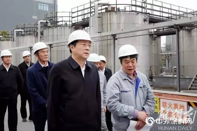 湖南省委書(shu) 記杜家毫一行來湘江塗料檢查、調研