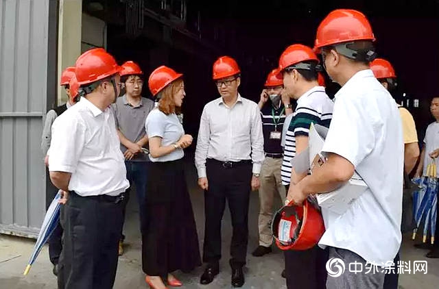 順德區委常委冼陽福帶領督導組到華隆塗料進行安全檢查工作