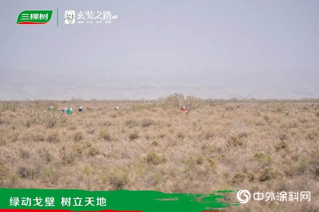 三棵樹戈二行第3日：霜凍來襲，西北風肆虐，戈友們(men) 再次接受了挑戰"133099"