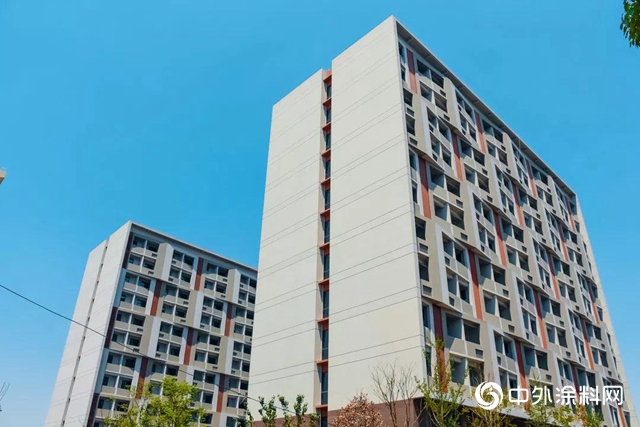 三棵樹攜手舜江建設集團匠心打造上海工技大最美綠色校園，喜獲三項“白玉蘭(lan) ”獎