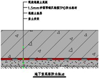 東(dong) 方雨虹TPO防水卷材