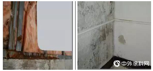 建築安全衛士——DuPont™ Airguard® 防潮隔汽膜"133776"